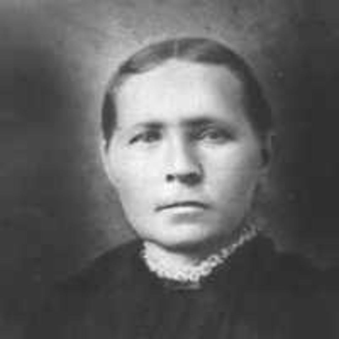 Lovina Ann Steele (1844 - 1925) Profile